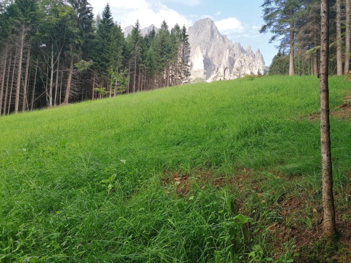 Baita Pra Petina Pale Di San Martino Siror Екстер'єр фото