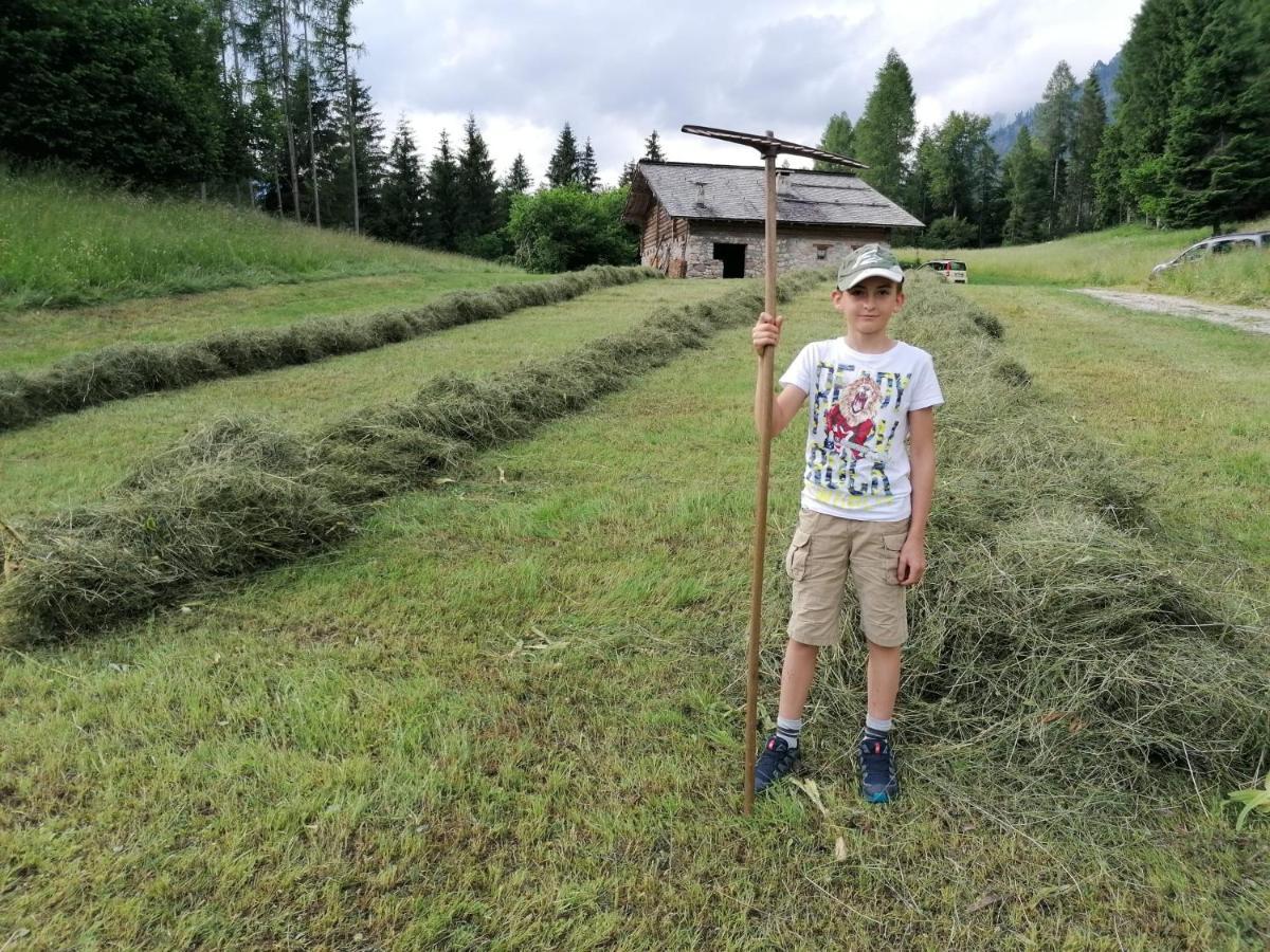 Baita Pra Petina Pale Di San Martino Siror Екстер'єр фото