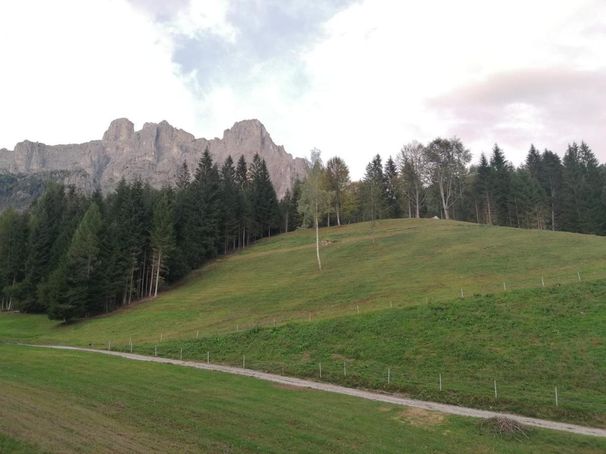 Baita Pra Petina Pale Di San Martino Siror Екстер'єр фото