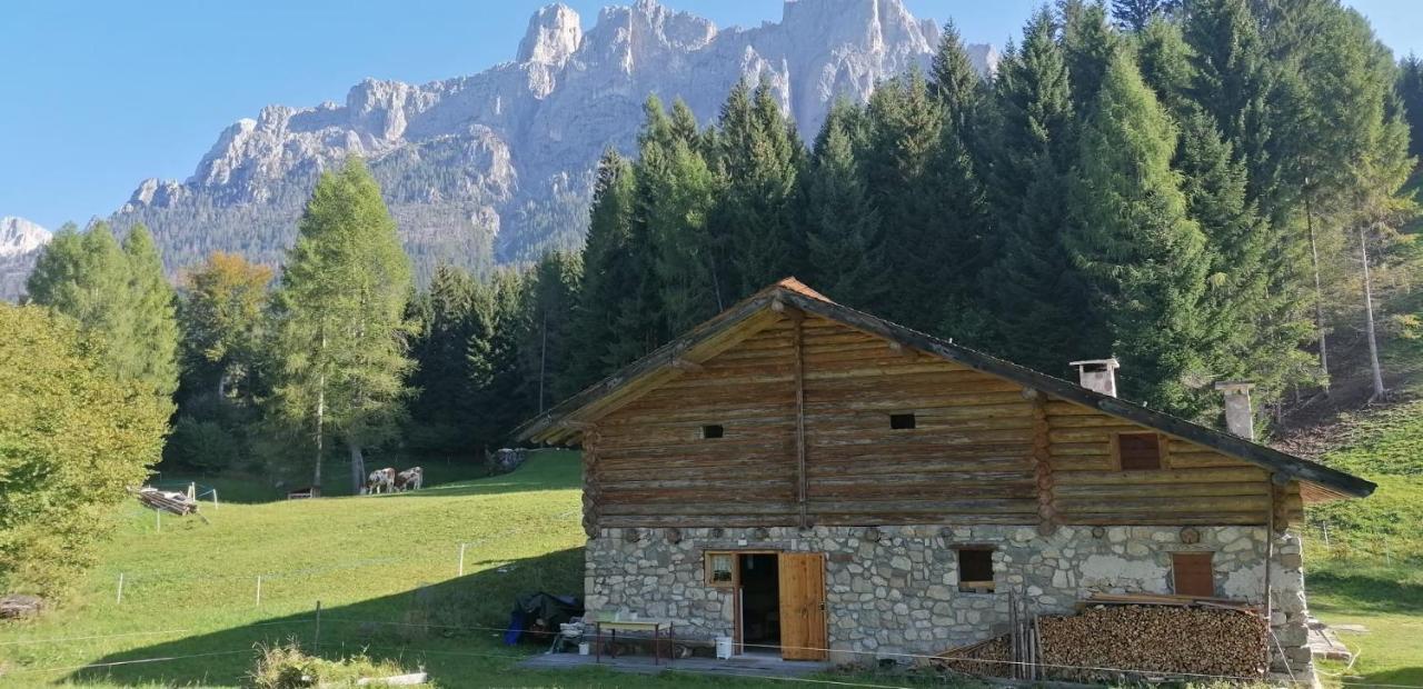 Baita Pra Petina Pale Di San Martino Siror Екстер'єр фото