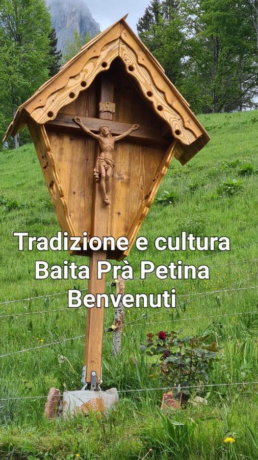 Baita Pra Petina Pale Di San Martino Siror Екстер'єр фото